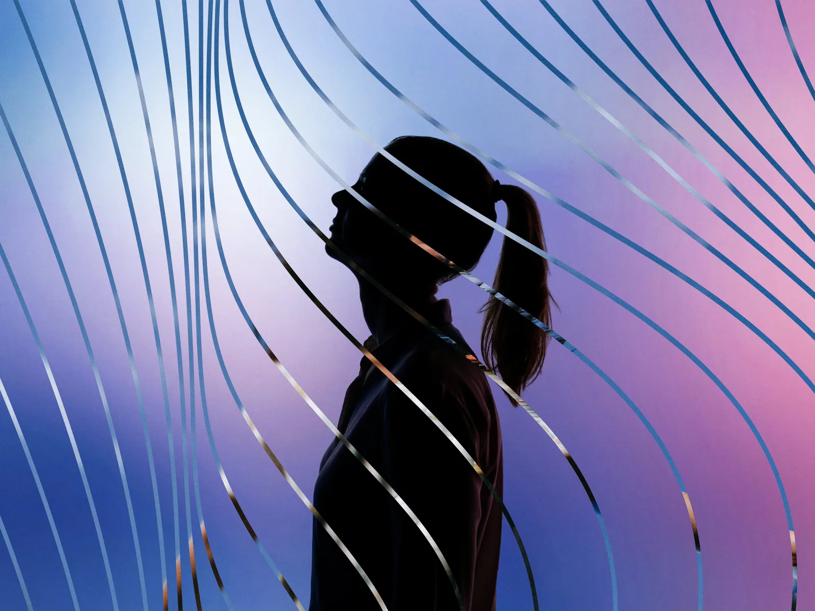 Silhouette in profile, Hogeschool Inholland